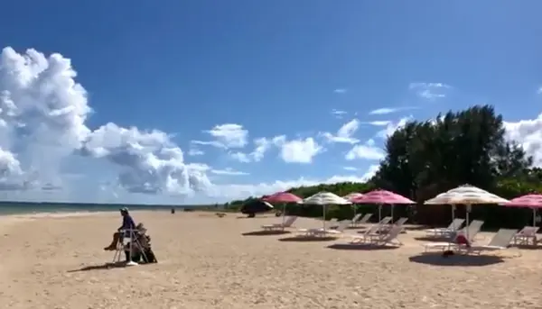 パラソルも設置されてましたよ。