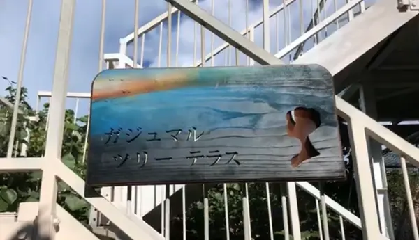 ガジュマルツリーテラス