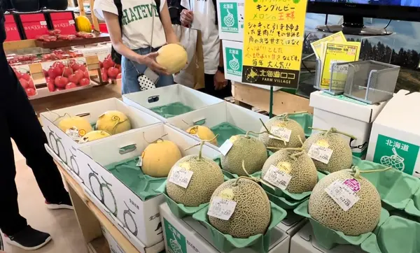 北海道といえば、メロン💕
