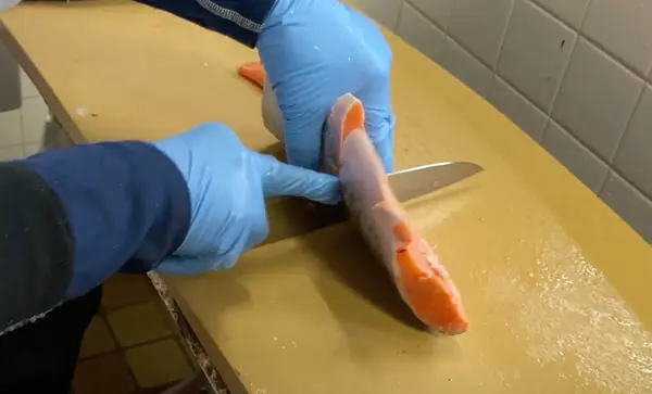 鱒を捌いているところ