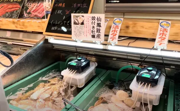 活きホタテやカニ🦀