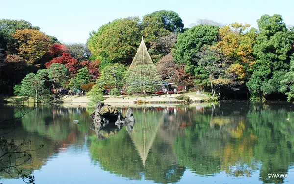 蓬莱島 雪吊り 六義園