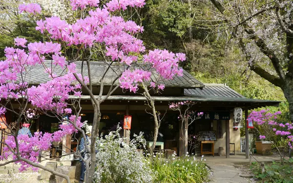 茶屋のそばなどに
