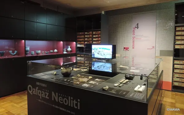 東京大学総合研究博物館 本館