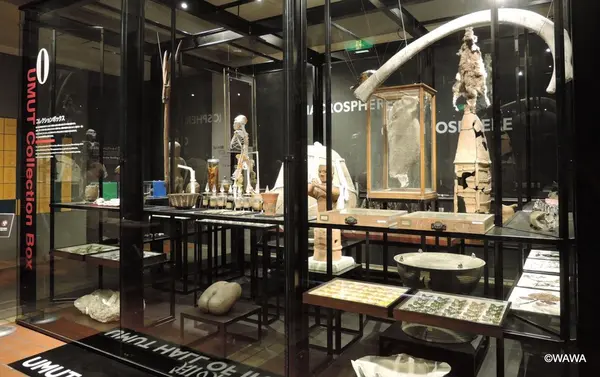 東京大学総合研究博物館 本館