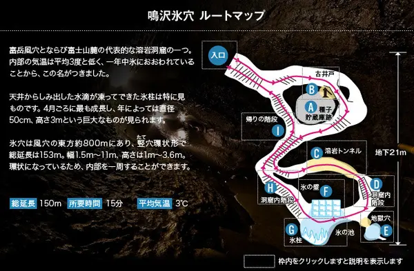 天然記念物の「竪」穴型洞窟