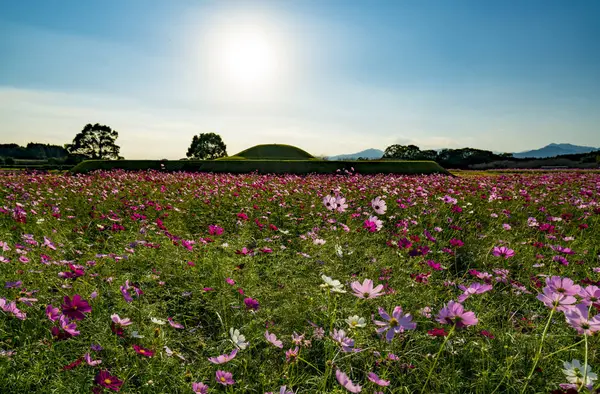 【10月〜11月】西都原古墳群