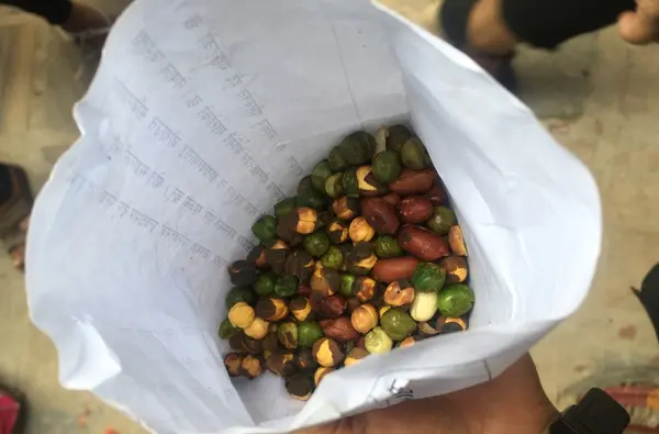 豆菓子はおいしい