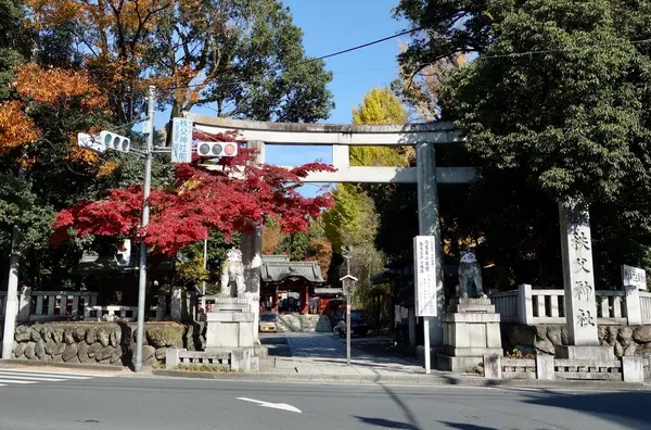 紅葉の季節