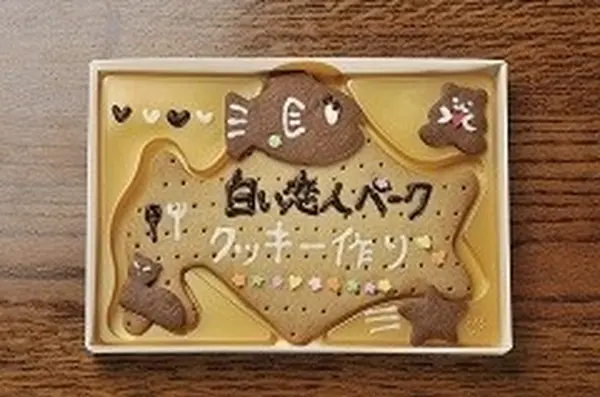 クッキー作り体験