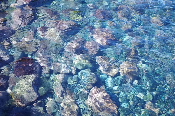 水がきれいです