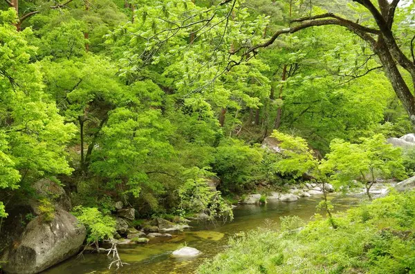 ずっと川沿い