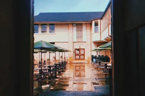 学食