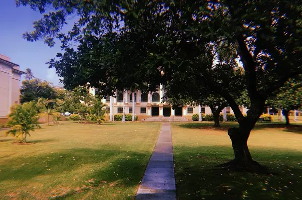 各学部ごとに建物が違います