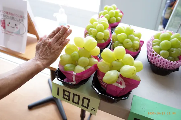 雄宝の大きさ！