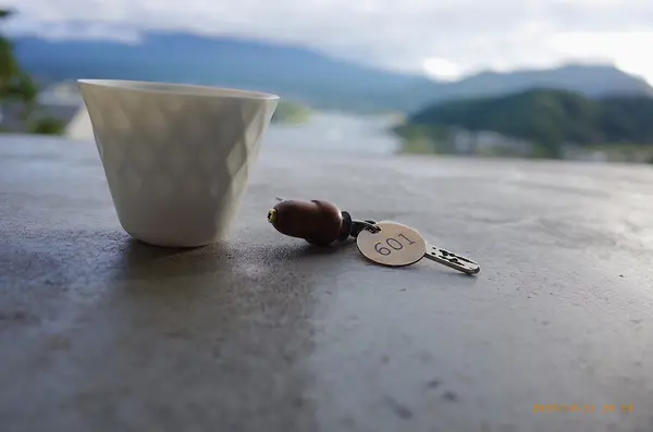 バードコール付きのルームキー