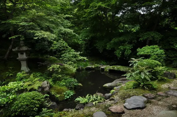 玄関口にある池