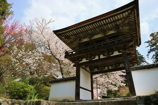 鐘門と桜