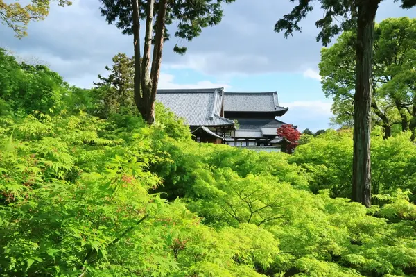 本堂を望む景色