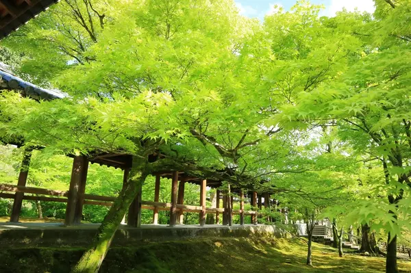 通天橋