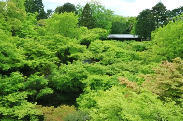通天橋から臥雲橋の眺望