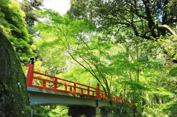 新緑に朱色の鳥居橋