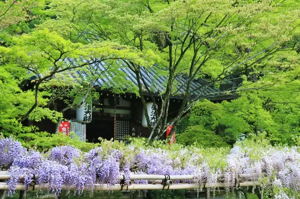 大師堂