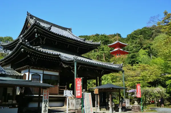 本堂と医聖堂