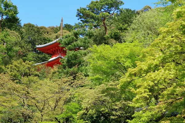 医聖堂