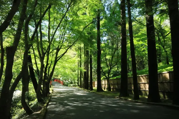 参道