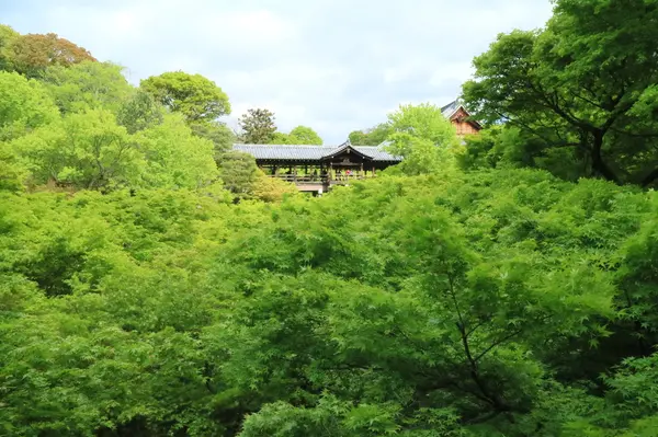 臥雲橋からの眺望