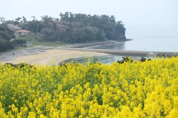 長崎鼻は海水浴場も♪