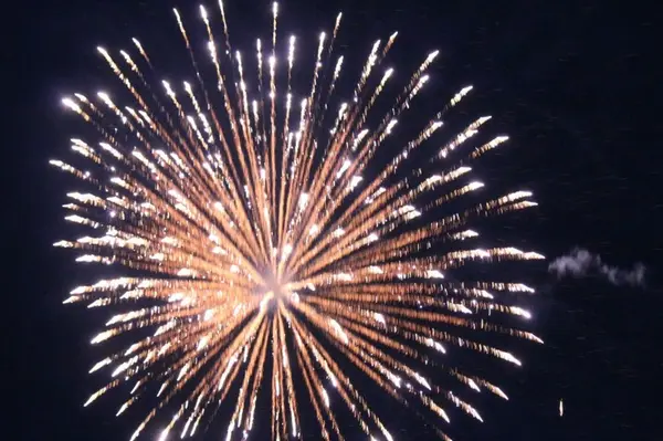 ７月にはサマーフェスティバル開催