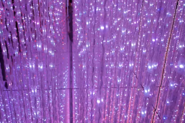 チームラボといえば、キラキラの鏡張り空間！