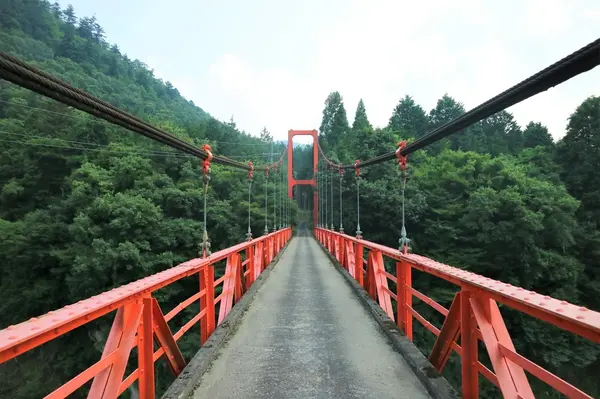 橋の真ん中から