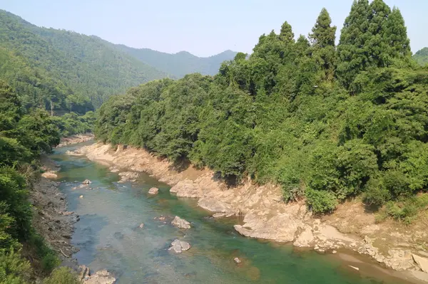 橋から見下ろす由良川