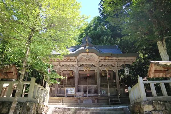 緑に囲まれる本殿