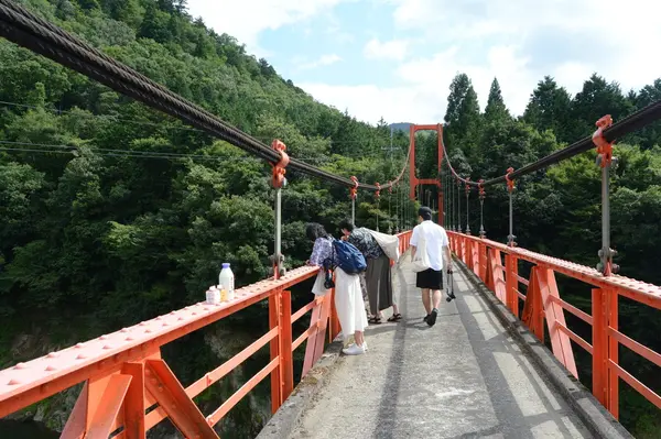橋の上から川を眺めよう