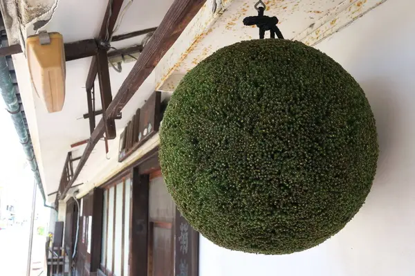 新しく取り替えられた杉玉