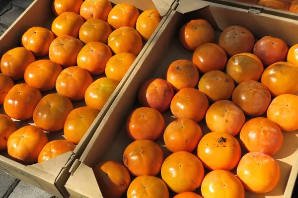 柿の季節ですね