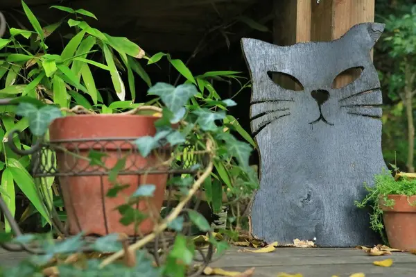 猫の細道③