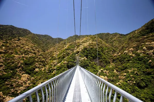 大吊橋