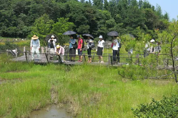 高鍋湿原