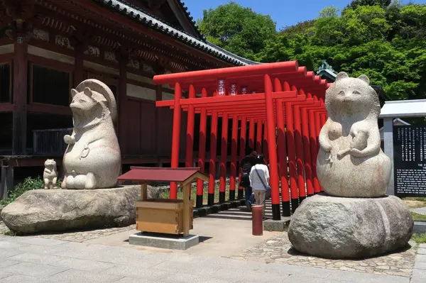 巨大ぽんぽこ狸