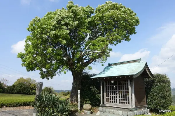 小夜の中山 白山神社