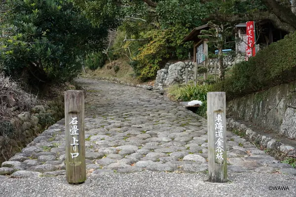 金谷