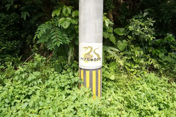 ハブちゅうい