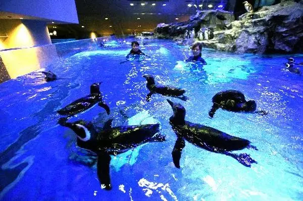 すみだ水族館