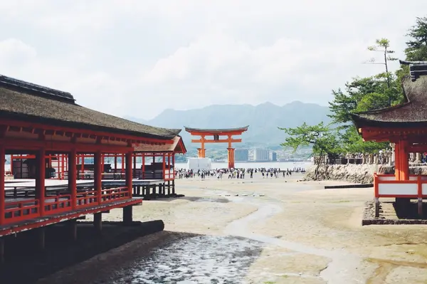 厳島神社にいると大鳥居がちらちら見えます⛩