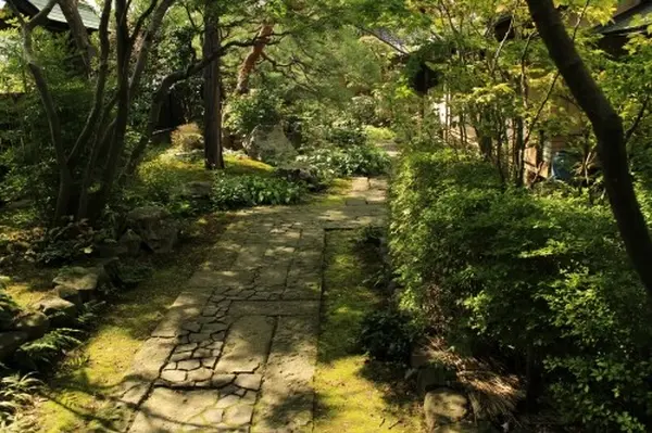 和菓子いちむらの庭園